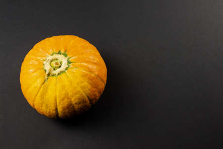 Orange pumpkin close-up on a black background, natural textureの写真素材