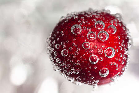Macro photo of red, ripe, fresh cherry with water dropsの写真素材