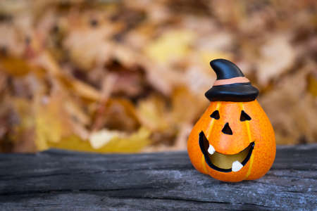 Funny pumpkins on a wooden board on an autumn background. Halloween