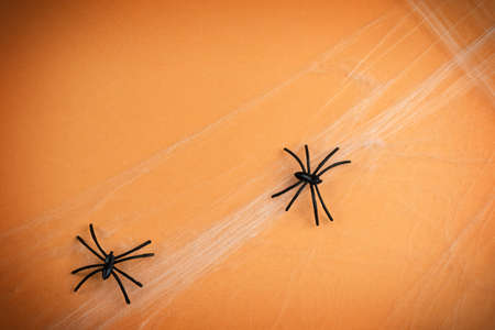 Two spiders with cobwebs on an orange background with darkened edges. Halloweenの写真素材