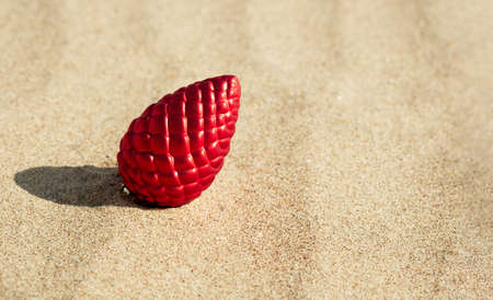 Christmas ornament on sandy beach, red ball
