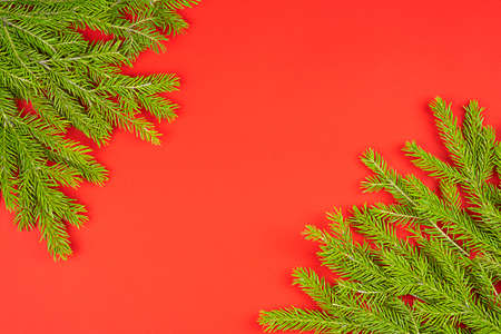 Christmas composition. Christmas tree branches on a red background. Fir branches. Christmas, winter holidays, new year concept. Flat lay, top view, copy space for your textの写真素材