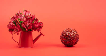 Mini watering can with flowers on a red background and shiny apple on a red background. Copy space for your text, greeting cardの写真素材