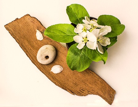 Apple flowers and stone with a hole on a piece of bark. Flat lay