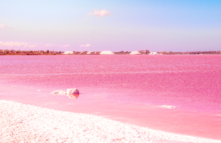Pink Salt lake. Spain, Torrevieja Fantastic landscapeの写真素材