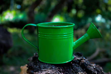 A small green watering canの写真素材
