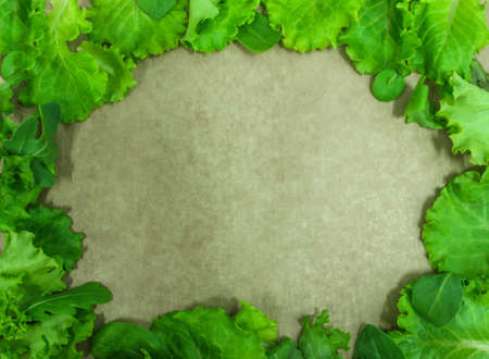 Green salad fresh frame background