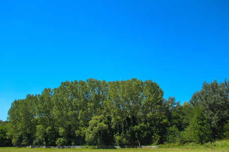 Blue sky above the green forest landscape