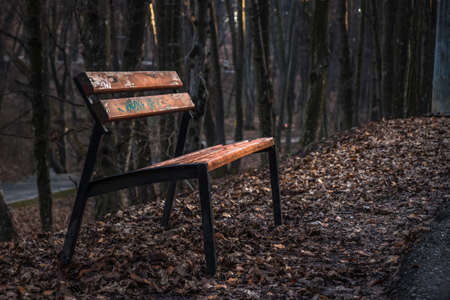 A bench in the forest scene