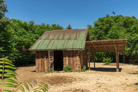 A wooden house in jungle scene