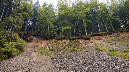 Landslide in the forest view