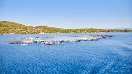 Sunny island and blue water viewの写真素材