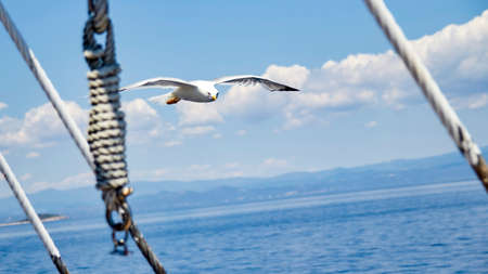 Sunny island and blue water viewの写真素材