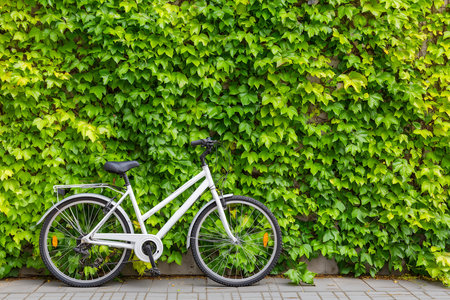 A stylish white bicycle rests against a vibrant green ivy backdrop, creating a harmonious scene. Ideal for themes centered around eco-friendly transportation, nature, urban relaxation, and environmental consciousness.の素材