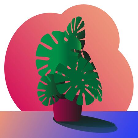 Monstera plant in a flower pot. Tropical exotic gardener for home or office decoration. Inner concept, lifestyle, botany concept. Flat vector illustration isolated on a colored background.のイラスト素材