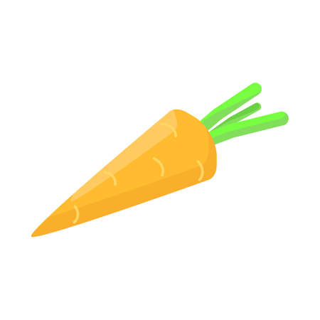 Isometric carrot icon.Vector illustration isolated on white background.のイラスト素材