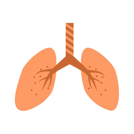 Flat lungs icon.Pulmonology vector illustration isolated on white background.