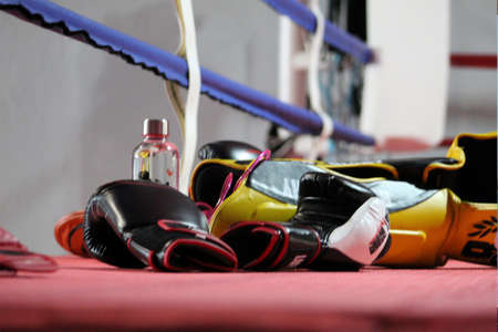 yellow, black boxing gloves ... on the ringの写真素材