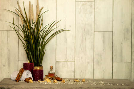 The spa essentials for aromatherapy near the plantの写真素材