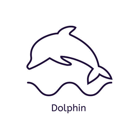 Vector dolphin icon on a white background.の写真素材