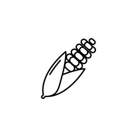 Corn thin line icon. Isolated maize vegetable linear style for menu, label, logo. Simple vegetarian food sign.の写真素材