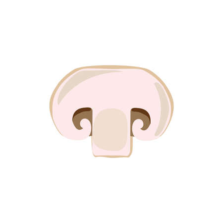 Mushroom champignon cut sliced product on white background. Mushroom drawing for icon, logo, label, menu. Ingredient for pizza.の写真素材