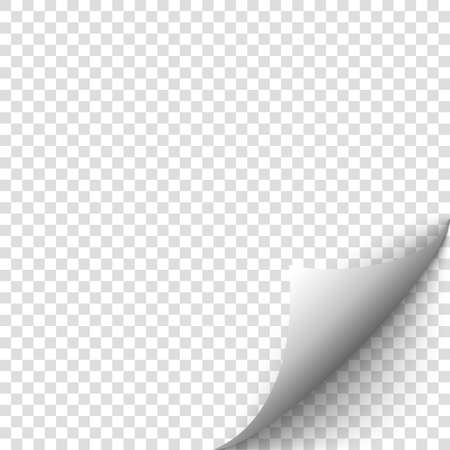 Curled corner of paper. Curl page concept.のイラスト素材
