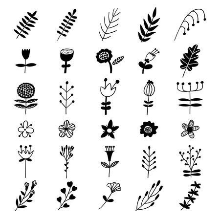 Scandinavian floral elements. Vector hand drawn trendy flowers. Monochrome nordic setのイラスト素材