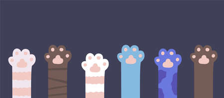 Cat paws. Kitty fur legs. Funny domestic pets footのイラスト素材