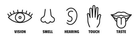 Minimal sence icons. Eye nose ear hand tongue sensation sign. Vector sensory simple signのイラスト素材