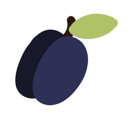 Plum fruit. Doodle berry with stem and leaf. Vector exotic food iconのイラスト素材