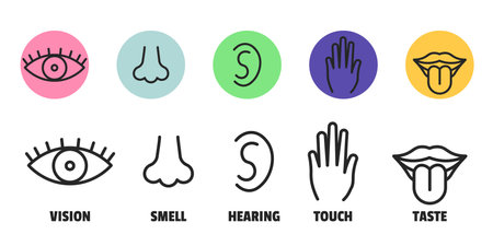 Minimal sence icons. Eye nose ear hand tongue sensation sign. Vector sensory simple signのイラスト素材