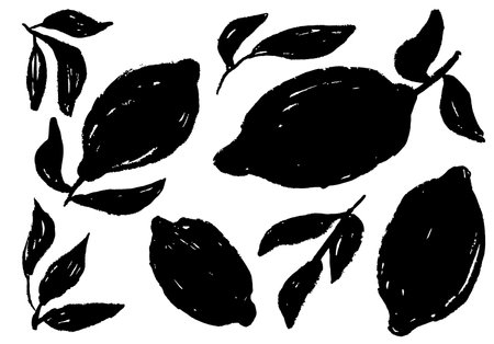 Bold monochrome lemon leaves brush vector modern, natural, perfect for trendy eco designs.のイラスト素材