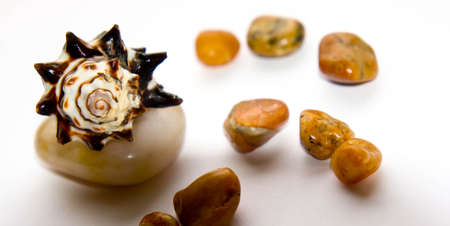 orange, background, light, small, big, multicolored, various, stones, white background, several, sizes, types, cockleshells, brown cockleshellの写真素材