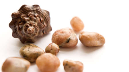 brown cockleshell and various stones on white backgroundの写真素材