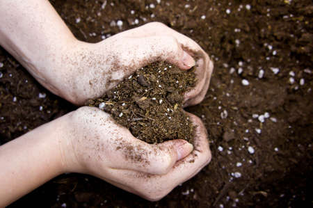 hands hold the earth in the form of heart, the earth is showered with fertilizers,