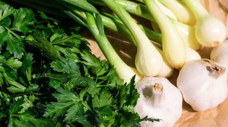 green onions, fennel, garlic and parsley lie on a tray on light brown paper, white, fresh, green leaves,の写真素材