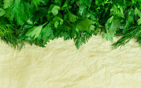 fennel, parsley lie on a tray on light brown paper, fresh, green leaves,の写真素材