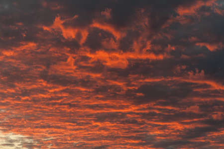 the sky at dawn clouds and bright flashes of purple scarlet, saturated color, natural nature...