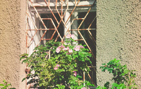 part of the old building with gray, dilapidated walls and a rusty grille on a large window, sunlight from the side of the street near the windowの写真素材