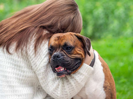 girl with long brown hair and a white sweater hugs a dog breed of German boxer, person photo from the back, the animal looks sideways cuddles to the girl, the background grass and greens are blurryの写真素材
