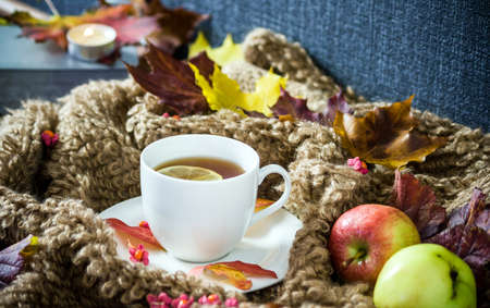 I love you, the woolen maternity leafの写真素材