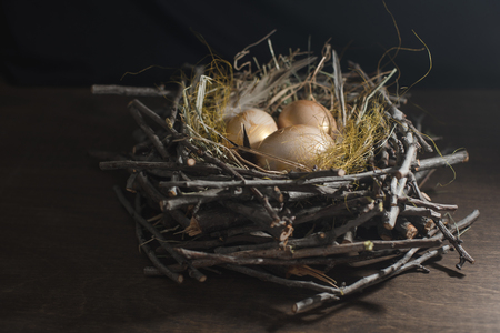 Golden bird eggs in a nest of tree branches and hay on a wooden background.の写真素材