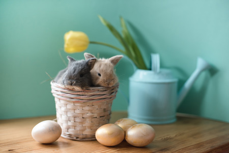 Easter still life with little rabbits in a basket.