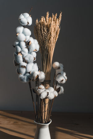 A bouquet of cotton and triticum in a white jug on a wooden table.の写真素材
