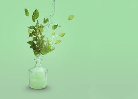 A symbolic image of a mint color, flavor or aroma.