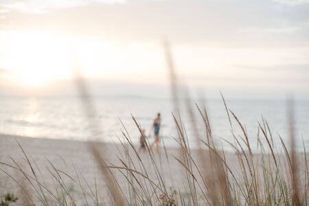 Background of walking adult and child silhouettes on a sandy beach in pastel shades.の写真素材