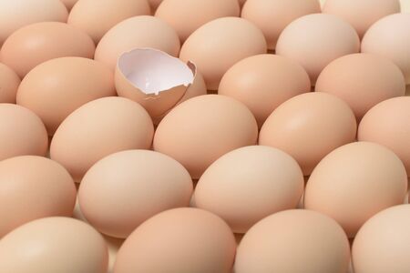 Image of a group of whole chicken eggs and half an egg shell among it, as a symbol of the birth of...