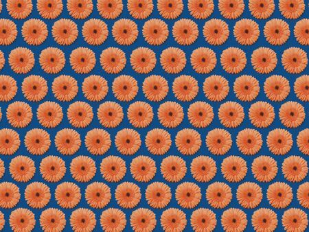 Bright, frash, festive floral gerbera floral pattern.の写真素材