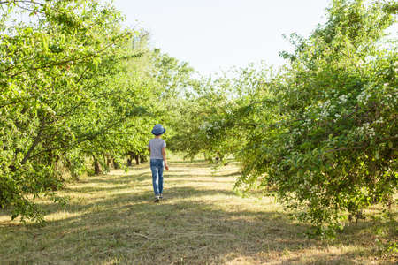 A cheerful kid in jeans, a T-shirt and a blue hat is playing in the garden among the apple trees.の写真素材